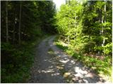 Forestry cottage Rovtarica - Oblakova planina